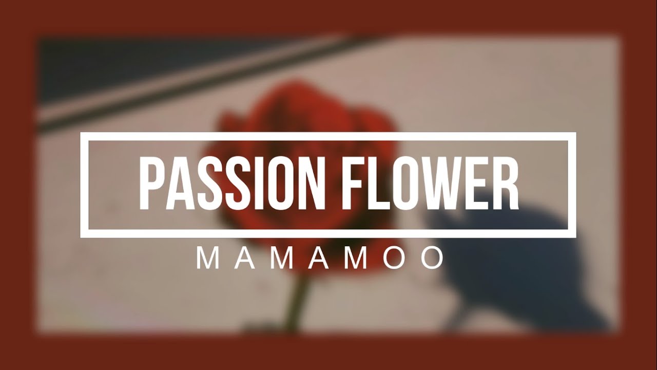 Passion FlowerMAMAMOO(Sub Español) YouTube