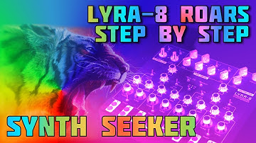 Lyra-8 ROARS - A Step by Step Guide