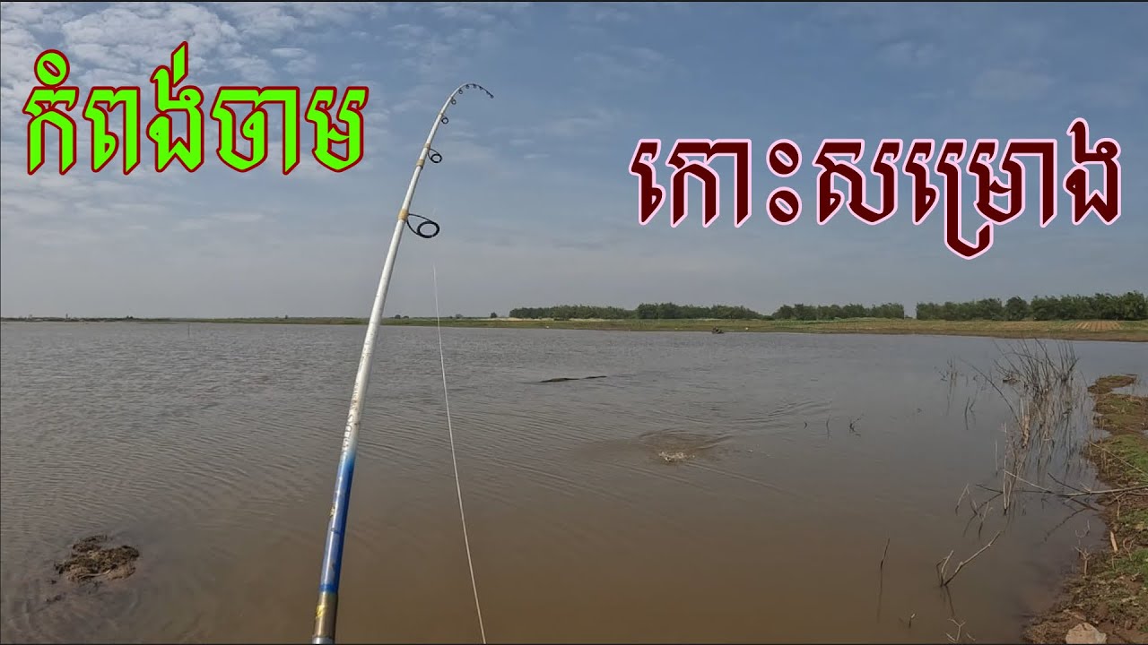 ឆ្លៀតចូលសាកប្រឡងឆ្តោរថ្មី ខាំធំណាស់ #fishing #cooking #adventure