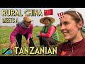 Chinese villagers react to meeting a Tanzanian 🇨🇳🇹🇿 这是不是全球最社牛的国家？我带坦桑尼亚人走进中国农村！