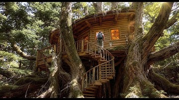 Building a Treehouse — A Safe and Cozy Shelter in the Heart of Nature!