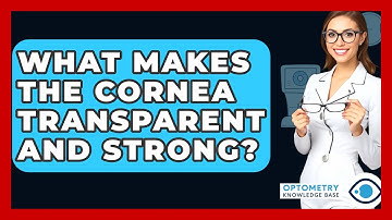 What Makes The Cornea Transparent And Strong? - Optometry Knowledge Base