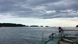 Miller’s  Place, Spruce Head, Maine