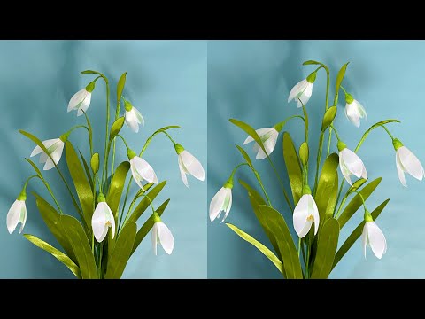 Video: Snegæk (blomst): beskrivelse, foto