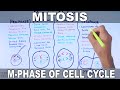 Mitosis | M-Phase