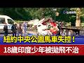 紐約中央公園馬車失控！ 18歲印度少年被拋飛不治