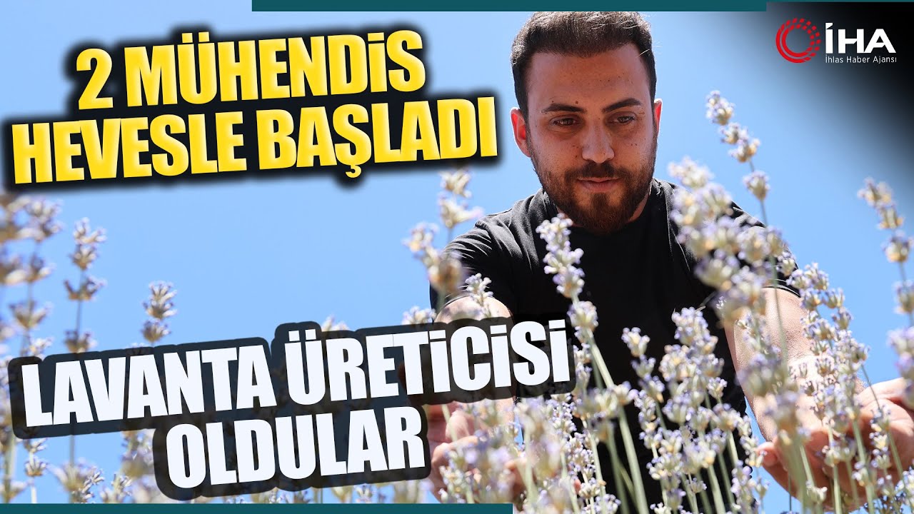 İnternette Görüp Bir Hevesle Başladılar Lavanta Üreticisi Oldular