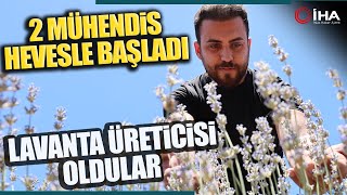 İnternette Görüp Bir Hevesle Başladılar Lavanta Üreticisi Oldular