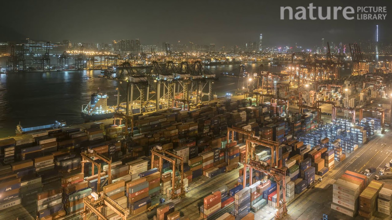footage of chernobyl Timelapse from day to night looking over Tsing Yi container port, with cranes filling container ship
