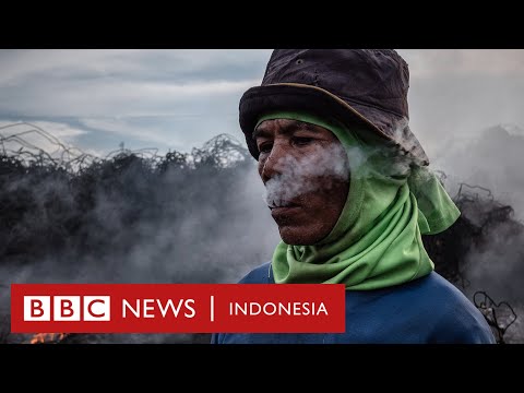 Video: Kebijakan medis plastik dari sampel baru