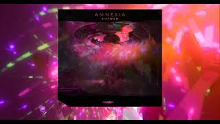 Amnesia By Snader - Harmor Records