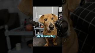 Happy 7th Birthday 🎉