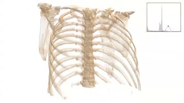 Visibility-Difference Entropy for Automatic Transfer Function Generation