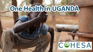 One Health Approach in Uganda by AfriCenter 64 views 1 month ago 3 minutes, 56 seconds