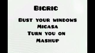 BigRic x beyonce x Micasa - bust your windows x turn you on acapella out mashup