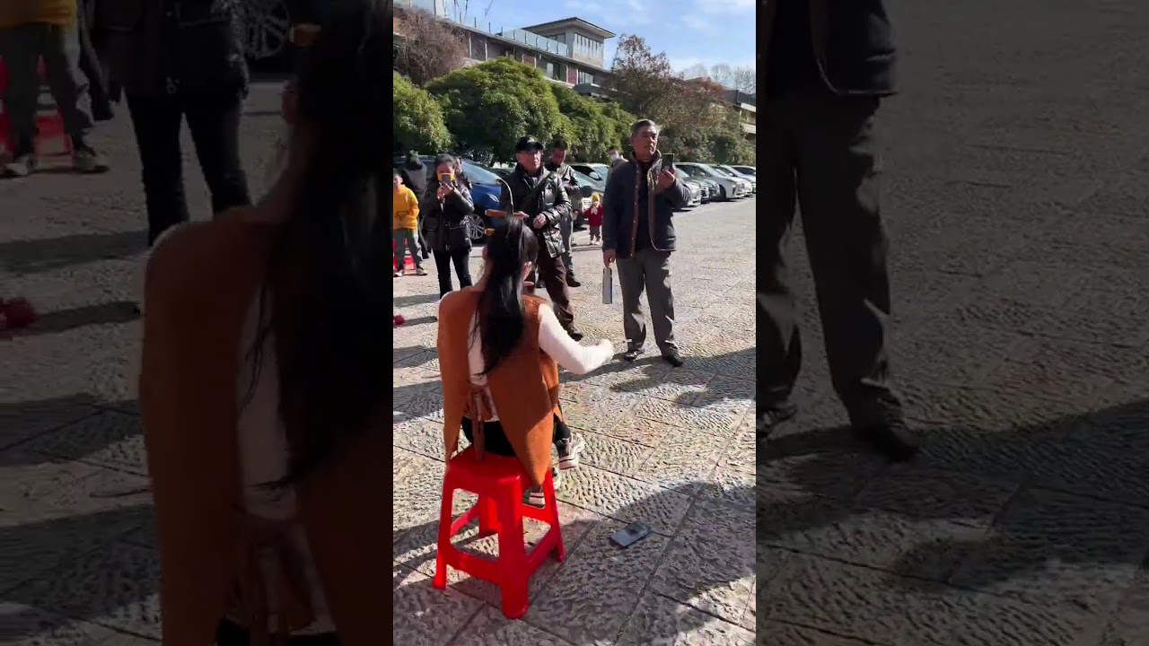 下次慢点拉，争取让大爷看清楚 #公园二胡 #二胡音乐