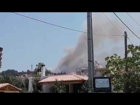 Πάτρα: Φωτιά στον Προφήτη Ηλία