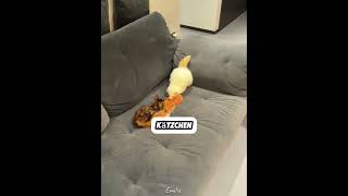 Sie beschützt die verlassenen Kätzchen jetzt ❤️🐱 #shorts #tiere #rettung #wunder