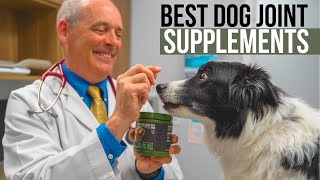 Best Joint Supplements for Dogs | Canine Health