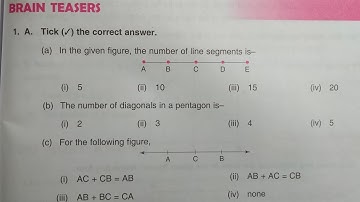 Math class 6 chapter 9 brain teasers dav public school ।। DAV Class 6 math chapter 9 brain teasers