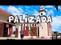 Video de Palizada