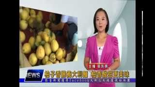 1040924【大新店地方新聞】柚子香腸義大利麵 柚香酸甜更美味