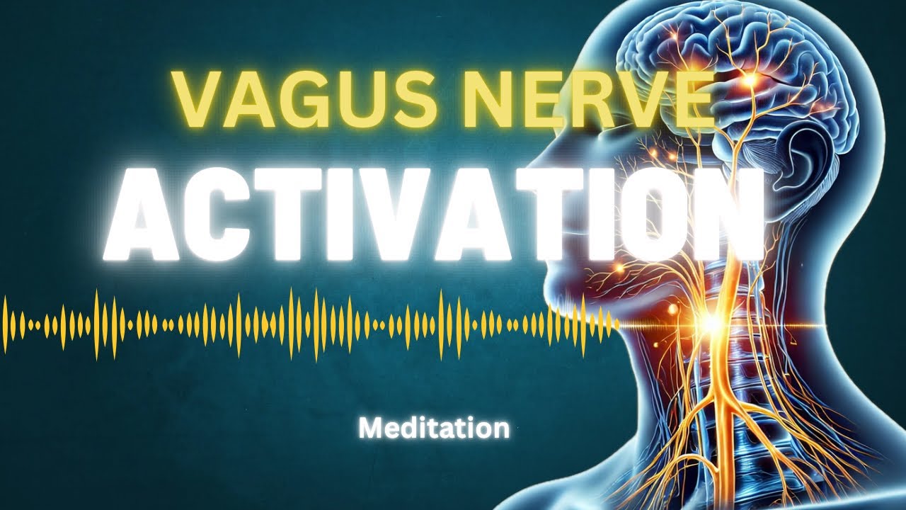 Vagus Nerve Activation 10 Minute Meditation - YouTube