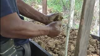 Membuat Dapur Tradisional Di Pondok Kebun