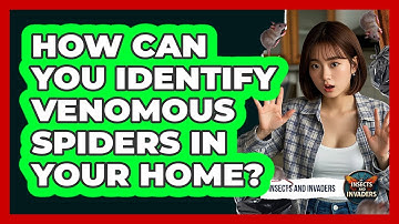 How Can You Identify Venomous Spiders In Your Home? - Insects and Invaders