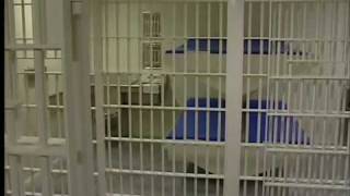 Clark County debuts new jail