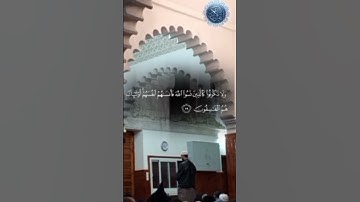 #اكسبلور _تلاوة رائعة ماشاءالله 💯 بصوت القارئ د محمد الجلالي