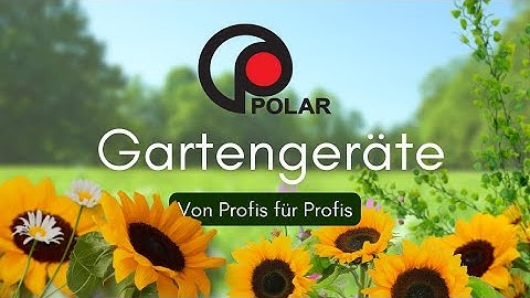 Polar Intro Sommer Video