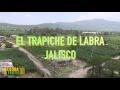 TIERRA FÉRTIL TV -  Arroz: Producción y comercialización (13.08.16) Pte. 1