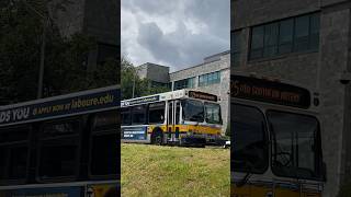 New Flyer Non Xcelsior Mbta