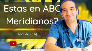 OFERTA EDUCATIVA: CURSO ABC MERIDIANOS. ( ABRIL 2024) | Acupuntura para párvulos