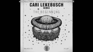 The YellowHeads - The Beginning (Cari Lekebusch Remix) [RBL002ltd]
