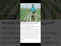 Breaking News : - PM కిసాన్ 23వ విడత సాయం ఎప్పుడు విడుదల అవుతుందంటే?