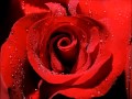حسام جنيد ناطر منك خبر حسام جنيد ناطر منك خبر