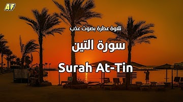 95- سورة التين بصوت شجي وجميل - القارىء الشيخ علاء عقل