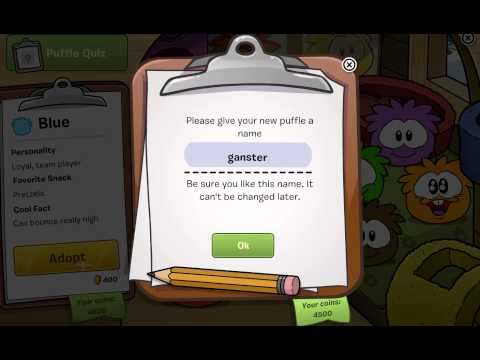 club penguin прохождение 1