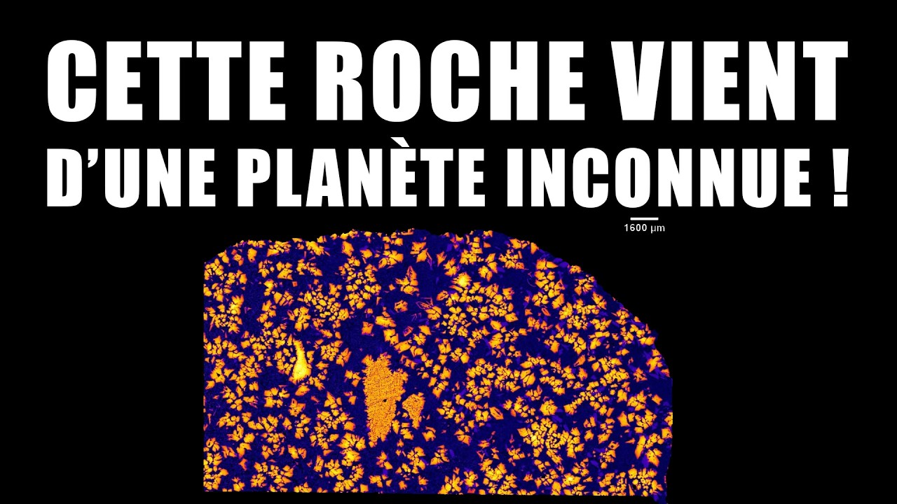 Un fragment d'une PLANETE DISPARUE retrouvé dans le Sahara ! DNDE 451