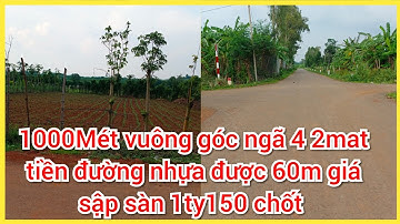 Đất nền bà Rịa vũng tàu - bán gấp 1sao 2MT đường nhựa 60m Đ Rằng KDC giá 1ty150 gốc ngã tư đầu tư OK