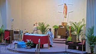 Corpus Christi Live Stream