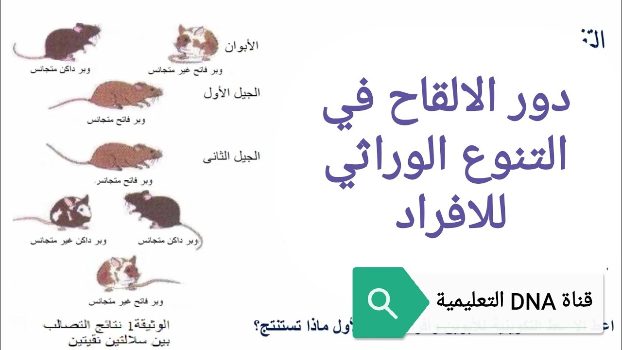 دروس علوم الطبيعة والحياة السنة الثانية ثانوي وفق التدرج الجديد