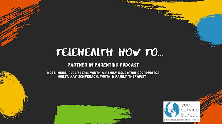 YSB Partner in Parenting Telehealth info with Kay ...
