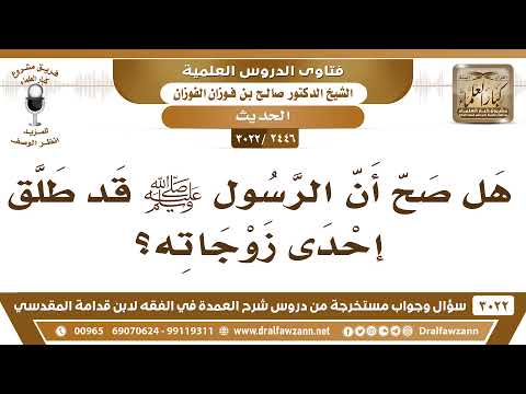2446 3022 هل صح أن الرسول ﷺ قد طلق إحدى زوجاته الشيخ صالح الفوزان
