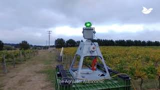Automated laser bird deterrent at Summerhill Road Vineyard, Australia