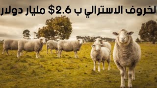 أهتمام أستراليا بالأغنام تكسب المليارات سنويا 🇭🇲