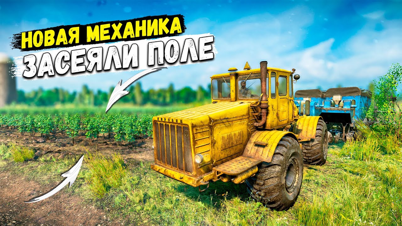 Все поле было засеяно
