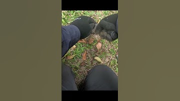 This modern coin has been buried for a long, long time #minelab #manticore #shorts